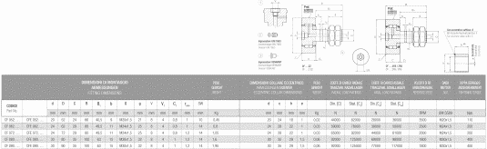B009_CF 062_immagine
